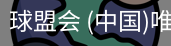 球盟会